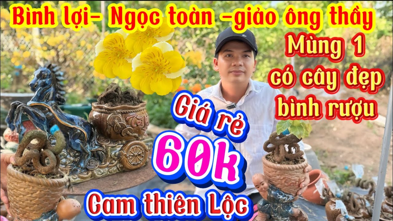 17-2-2026/MÙNG 1 TẾT ☎️0332 979599📲như ý- bình lợi-Ngọc toàn xã rẻ-báo mã số bình rượu giá rẻ 