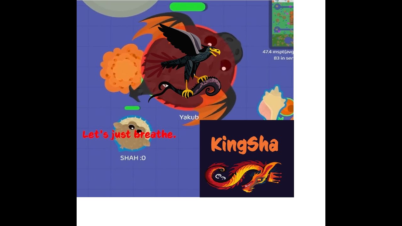 I Killed A Black Dragon Using ONLY The Falcon and Puffer