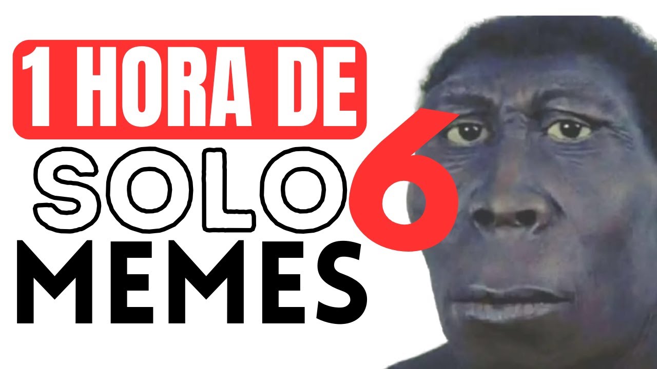 1 HORA de SOLO MEMES #6