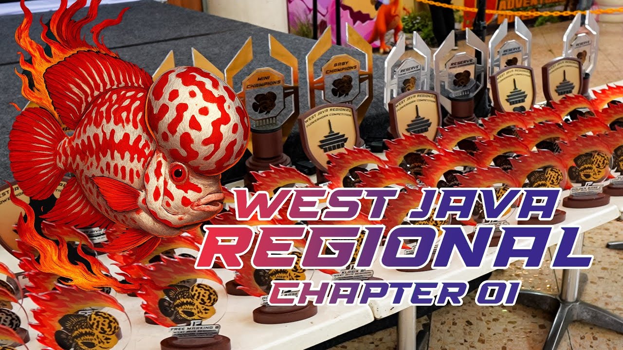 West Java Regional Louhan Competition Chapter 1 2026 Miko Mall Bandung 29 januari - 01 Februari 2026