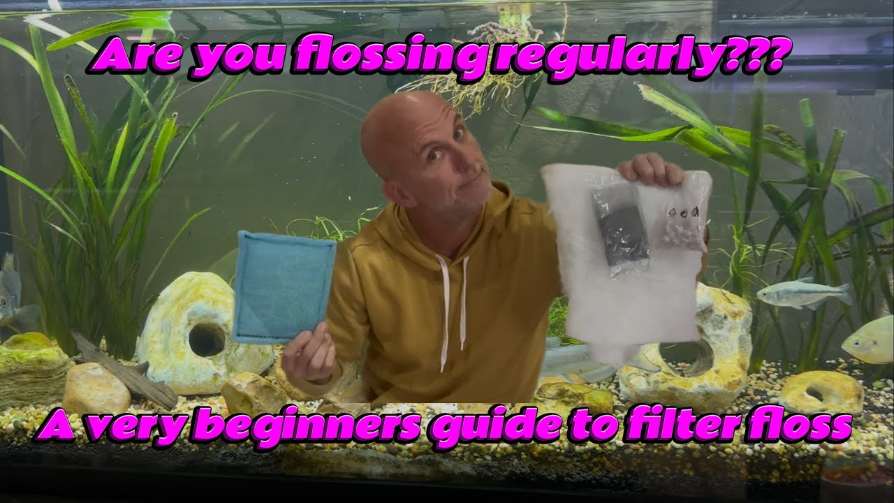 Tired of HOB filter cartridges?  You don’t really need them!!! #aquarium #fishkeeping #filter 