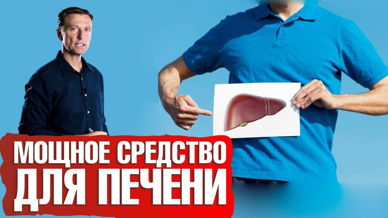 Польза расторопши для печени и не только. Сила силимарина 🙌
