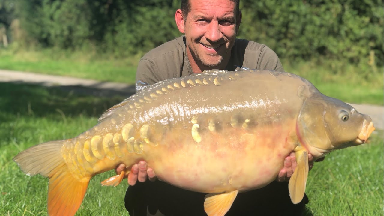 Coking farm , Meadow lake , multiple huge carp caught , carp fishing , day ticket carp fishing