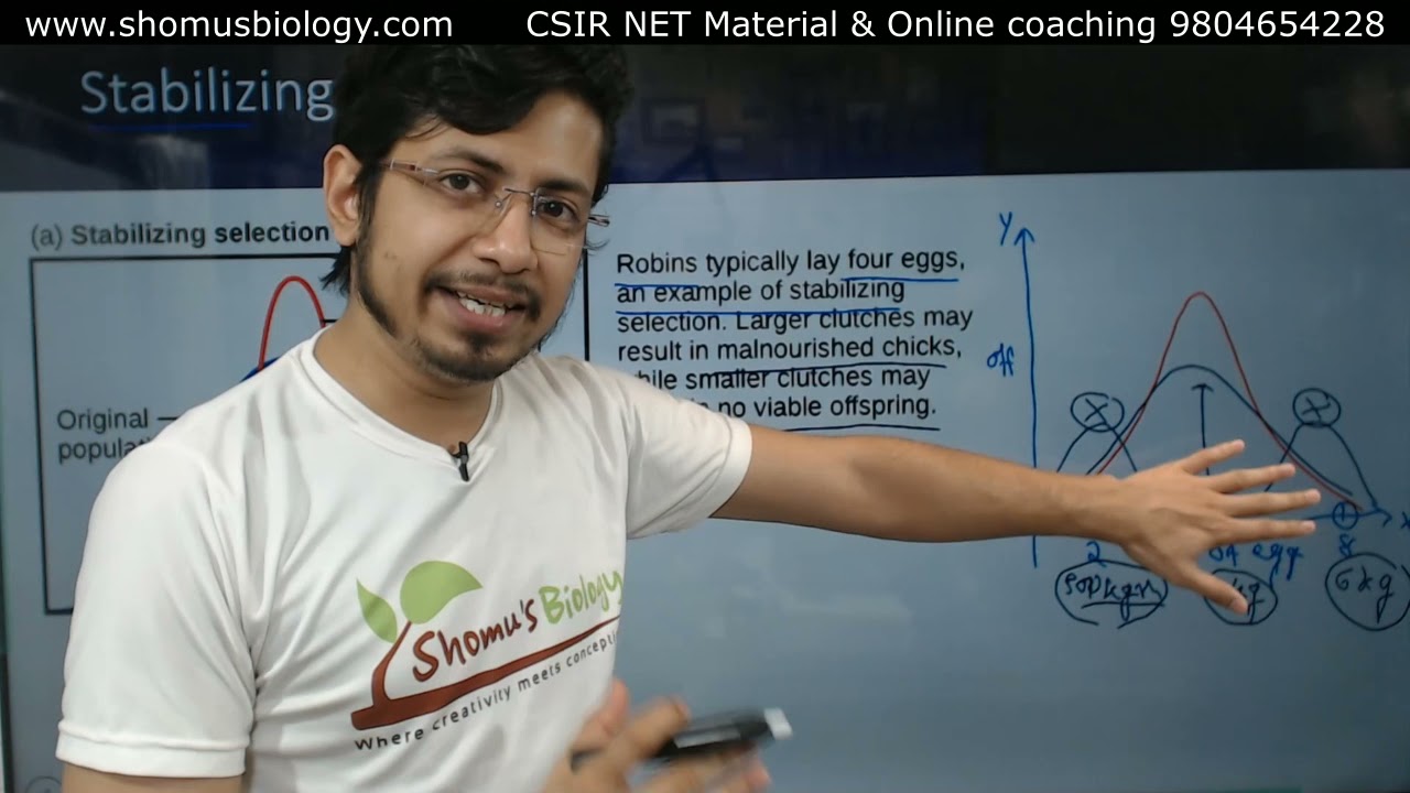 Types of natural selection and examples | Directional disruptive and stabilizing selection