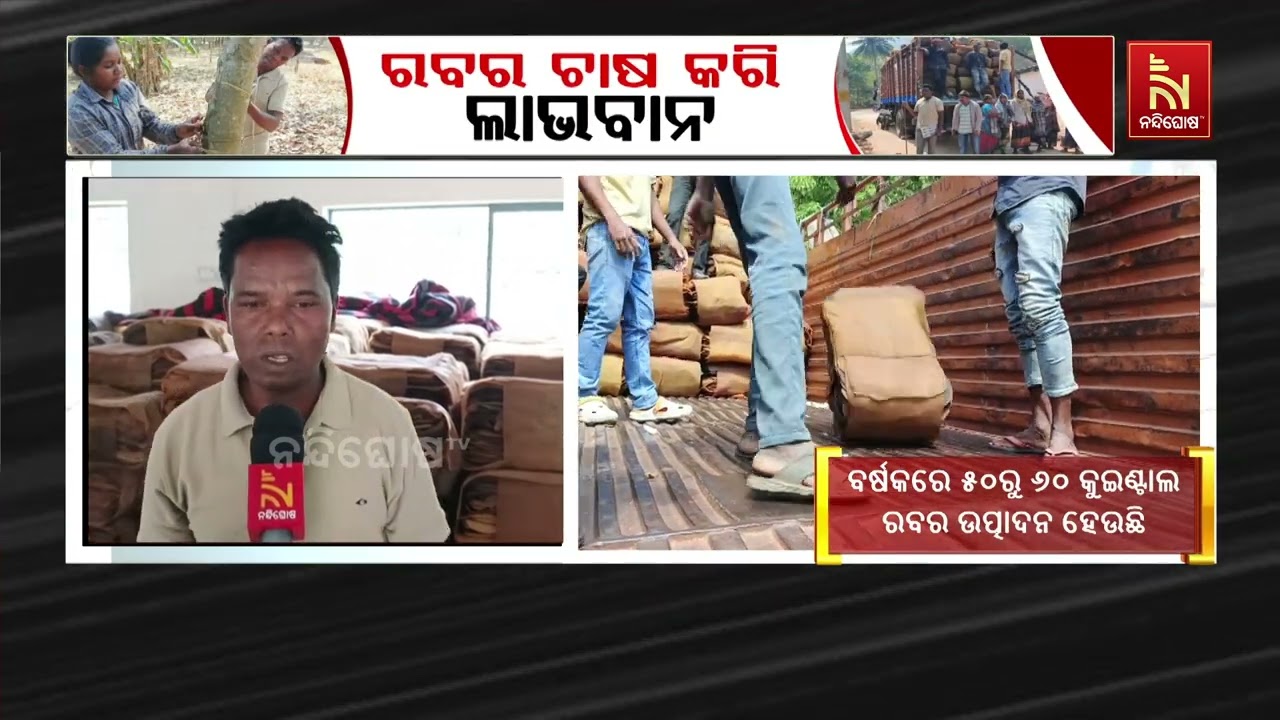 ରବର ଚାଷ କରି ଲାଭବାନ୍