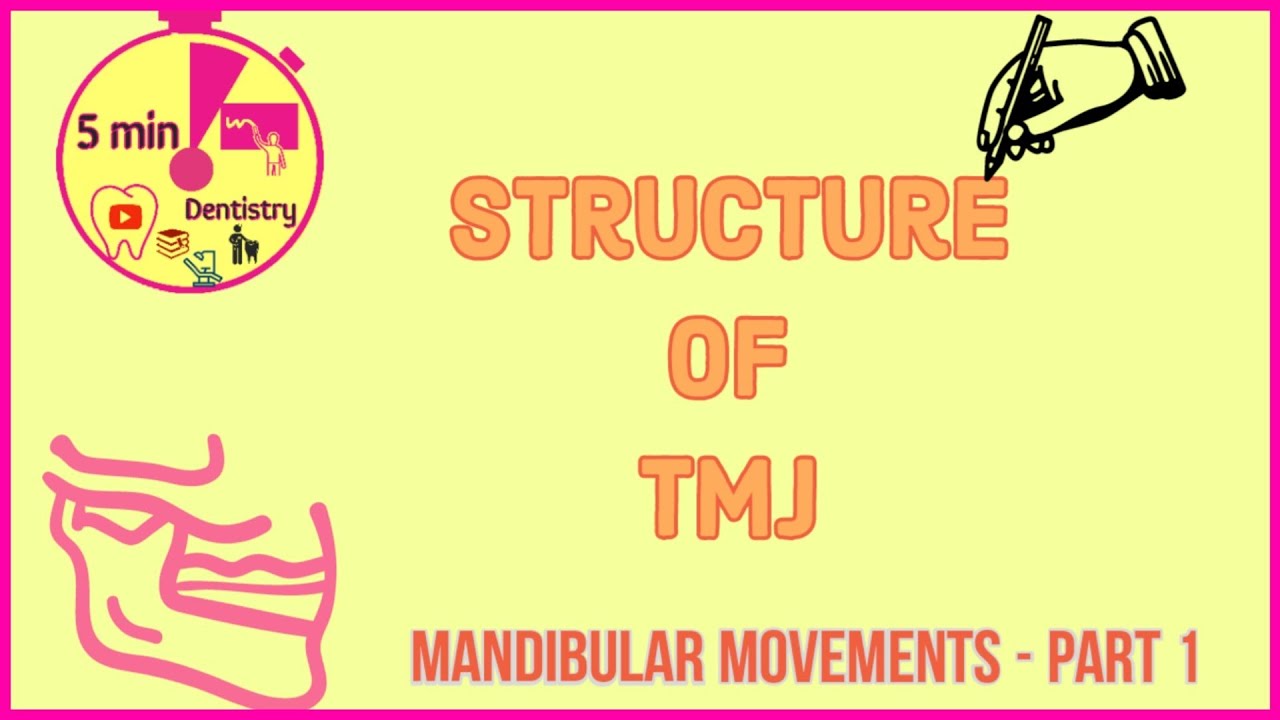 TMJ in 2 minutes - Structure of TMJ | anatomy | Mandibular movements
