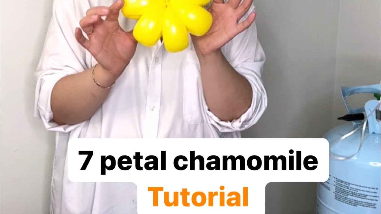 7 petal balloons chamomile. Tutorial Step by step