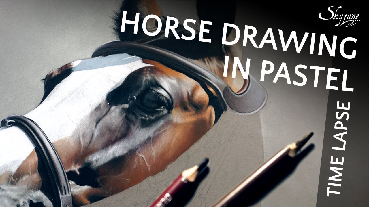 🎨 Horse drawing in soft pastel / Dessiner un cheval au pastel sec • Time lapse • Skyzune ART