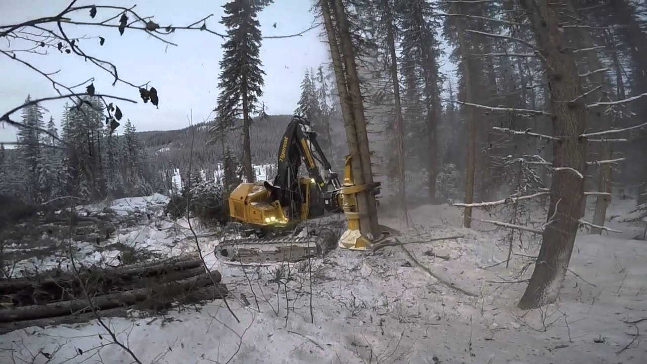 Tigercat Feller Buncher