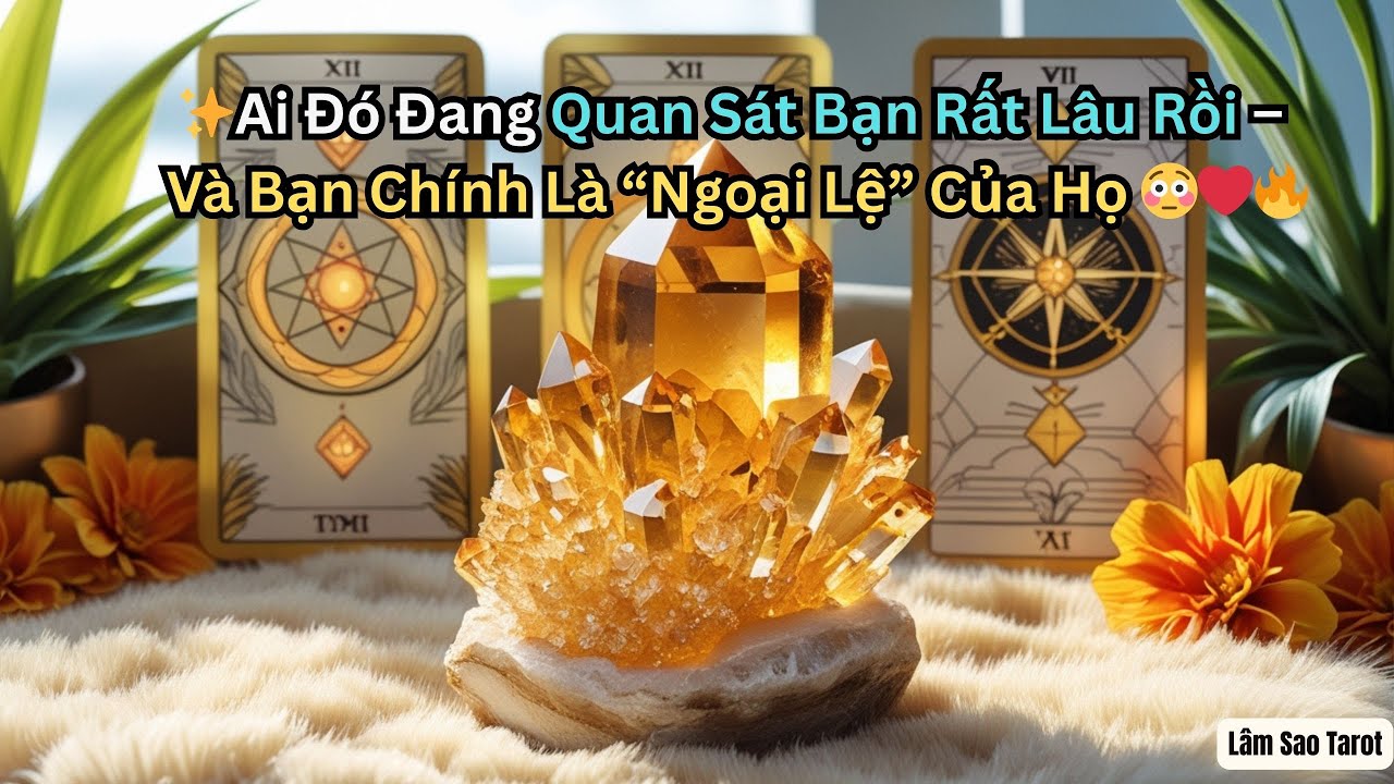 Ai Đó Đang Quan Sát Bạn Rất Lâu Rồi – Và Bạn Chính Là “Ngoại Lệ” Của Họ 😳✨#tarot #lovetarot
