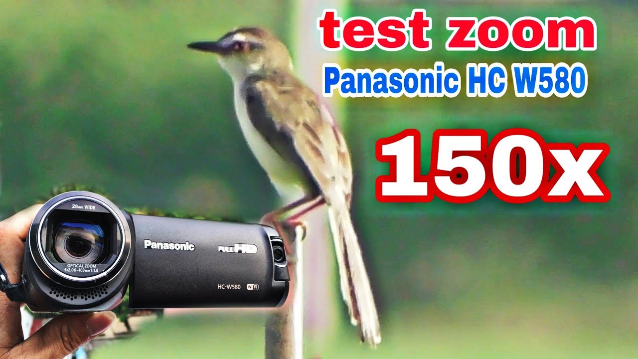 Test zoom Panasonic HC W580 150X