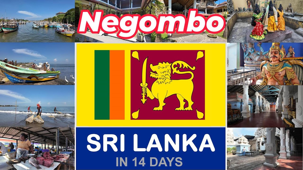 SRI LANKA NEGOMBO - DAY 1
