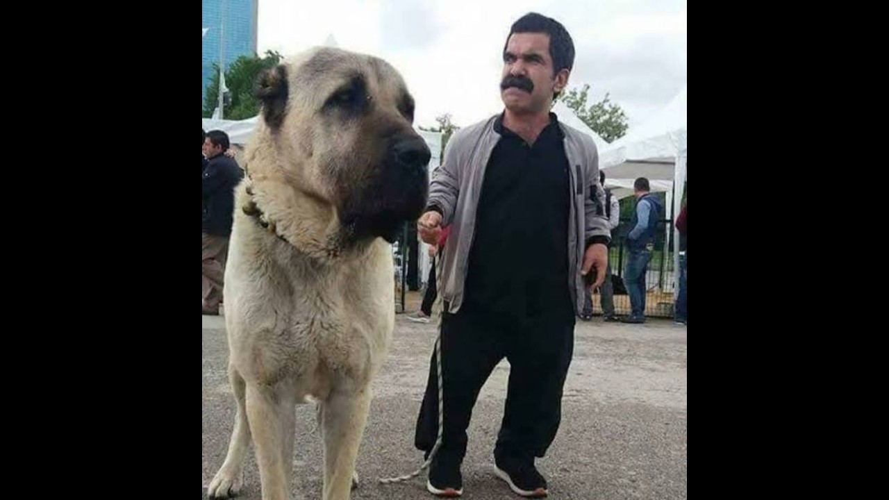 Eski Günlerin Hatrına R4pe /SoyaNetwork