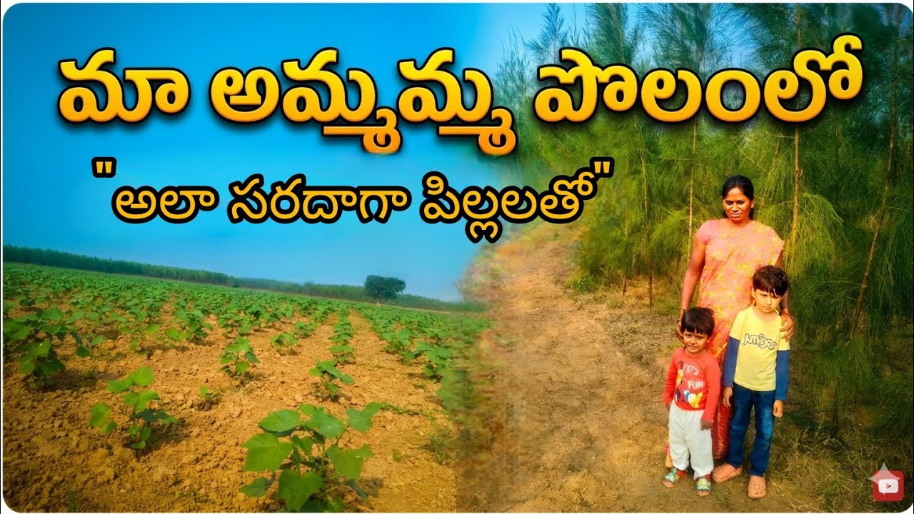 అమ్మమ్మతో పొలంలో అలా సరదాగా కాసేపు గడపడం అనేది ఒక అద్భుతమైన అనుభూతి @PrianshM @prianshsuree1106 