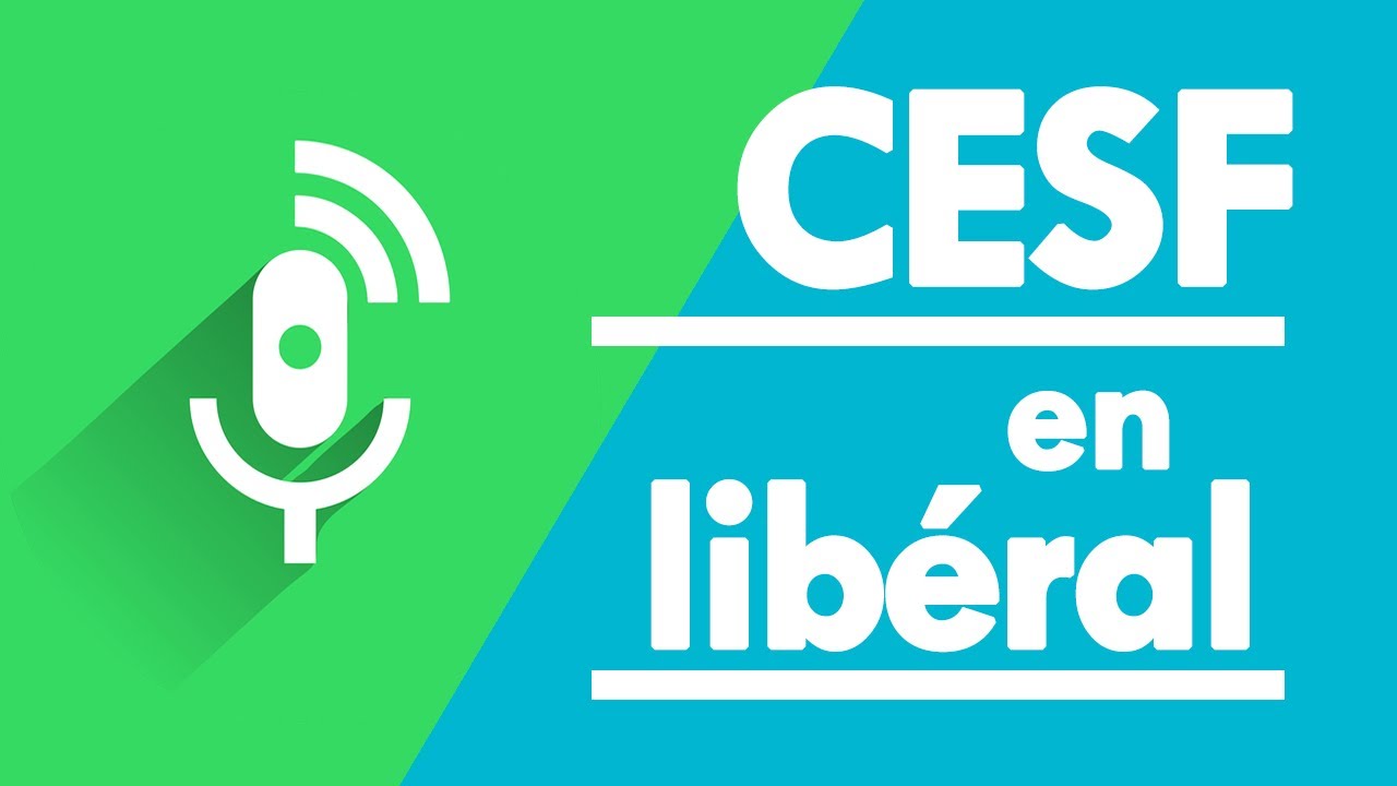 ZOOM - Le travail social en libéral