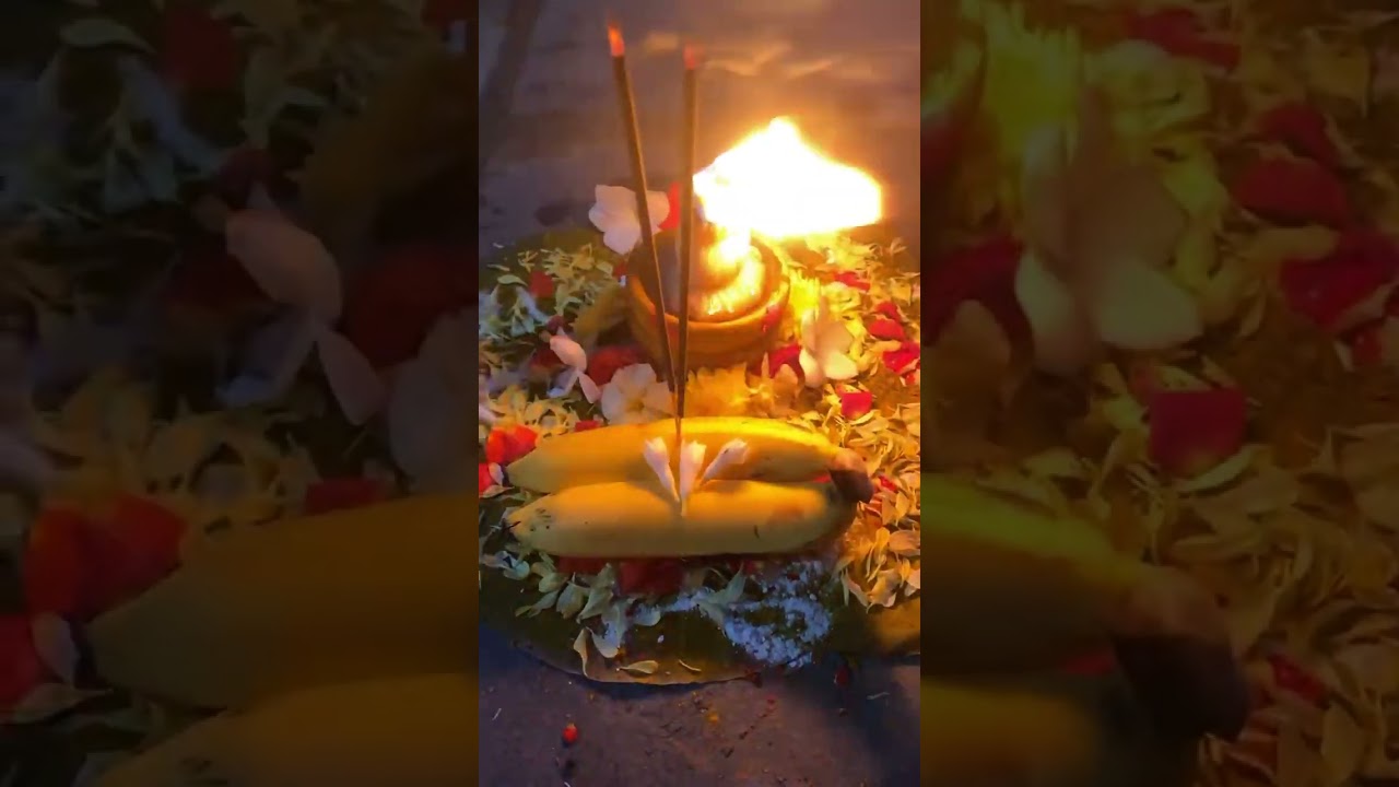 #karthikadeepam #shortvideo #omshivaya #pleasesubscribe  #likesharesubscribe #omnamasivaya