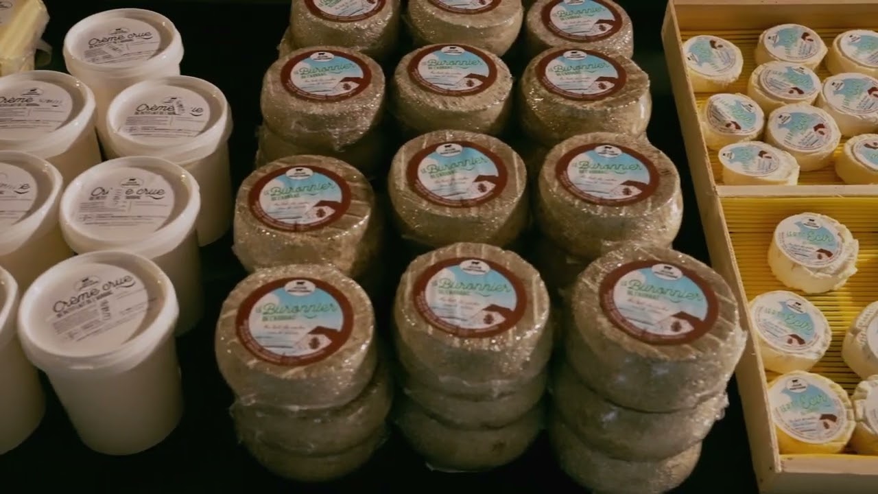 Aubrac and Carladez cheeses : a wide range of raw milk specialities