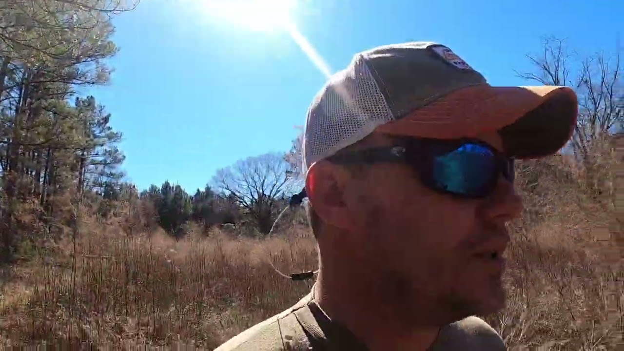 Quick Bush Hogging Job