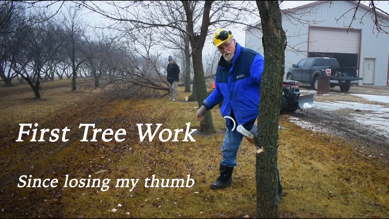 Срубка деревьев с 19 по 28 число перед Новым годом! - Топоры и бензопилы.