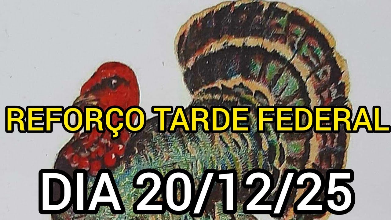 PALPITES DE REFORÇO TARDE E FEDERAL DIA 20/12/25 (SORTE A TODOS)