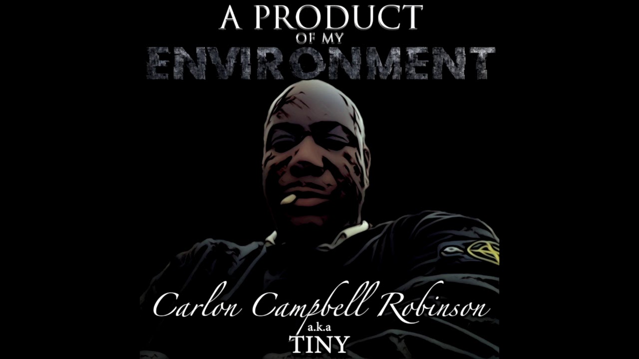 Chapter 1-6 - A Product of my Environment (Audiobook 1)