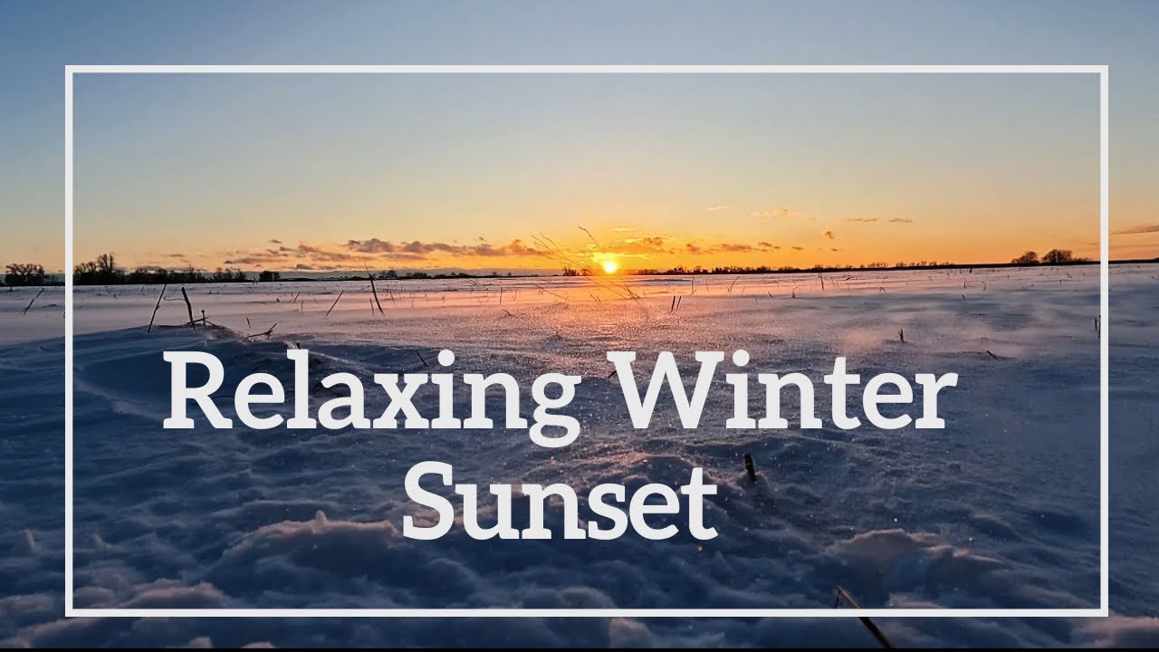 Snowy Winter Sunset – Calm Nature Ambience, No Talking | Winter in Ukraine 
