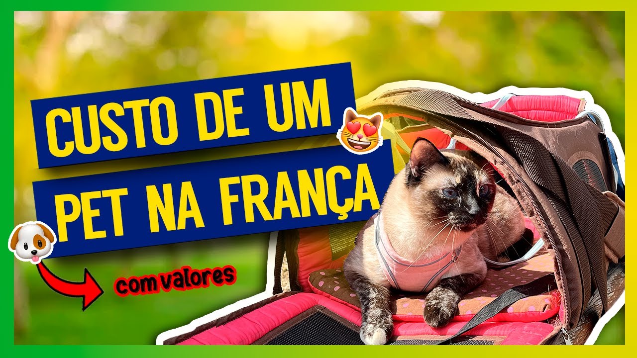 QUANTO CUSTA TER UM PET NA FRAN&Ccedil;A/EUROPA? Tudo que voc&ecirc; precisa saber! Com valores I RDV NA FRAN&Ccedil;A