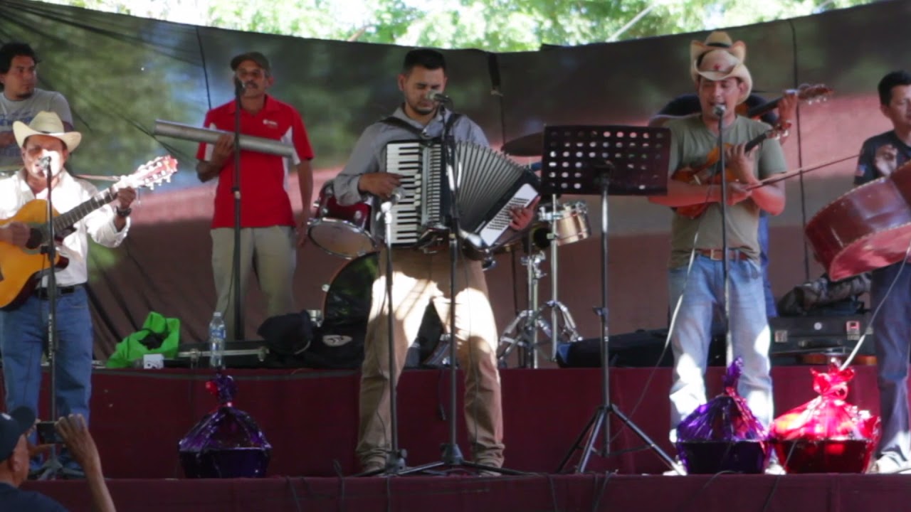 Torogoces en Bajo Lempa 1
