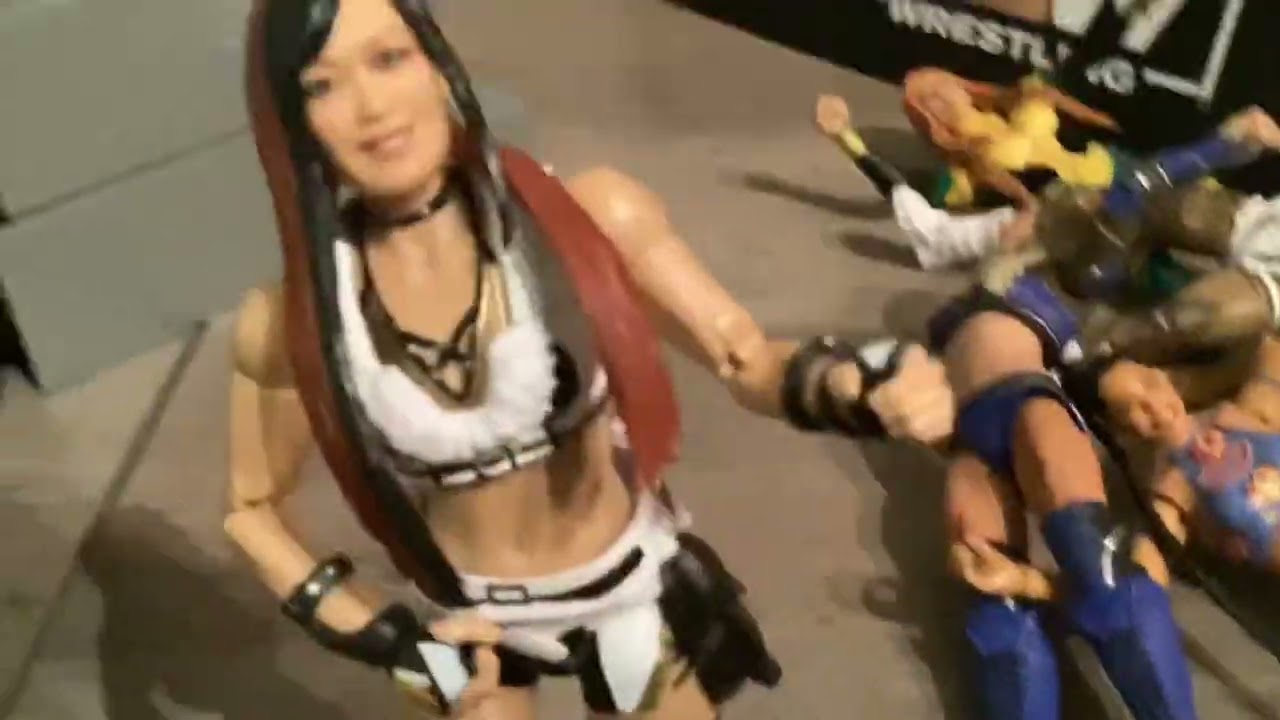 Woman’s money in the bank ladder match￼