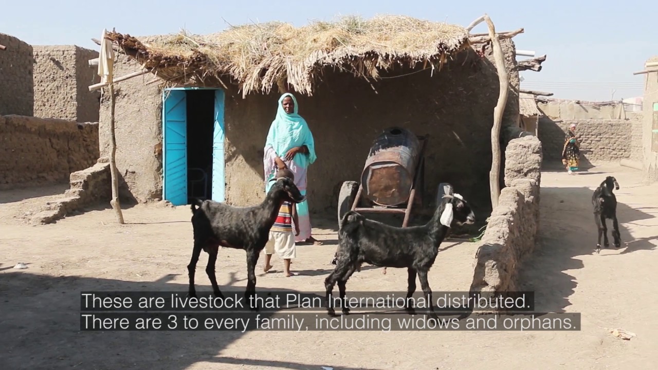 Meet Elhumaira from Sudan - A day in her life