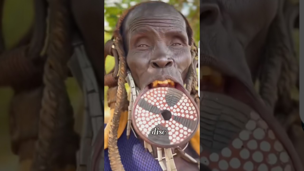 Lips plate  disc  community