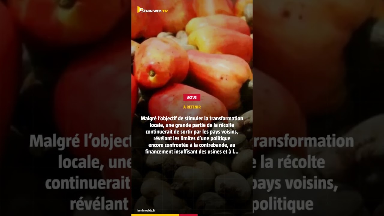 B&eacute;nin : l&rsquo;interdiction d&rsquo;exporter la noix de cajou brute &laquo;&nbsp;peine &agrave; produire ses effets&nbsp;&raquo;