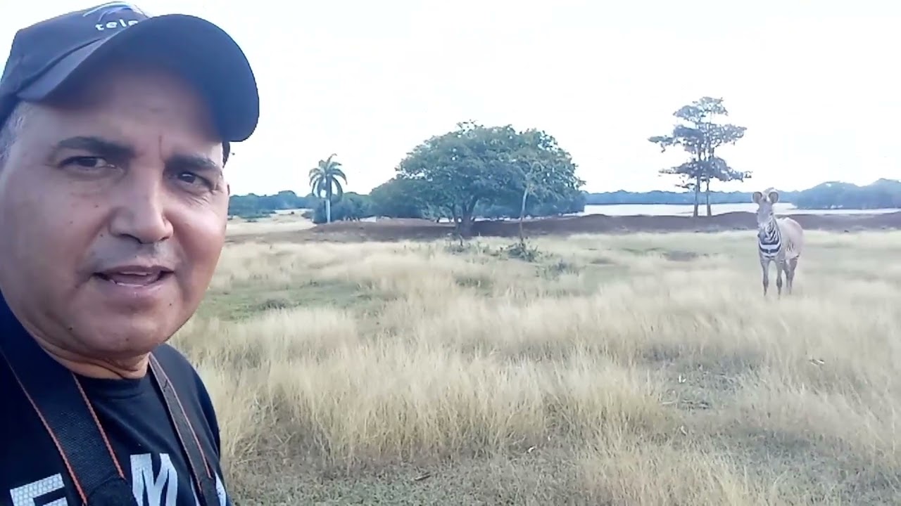 Saetía por dentro, recorrido a todo motor.