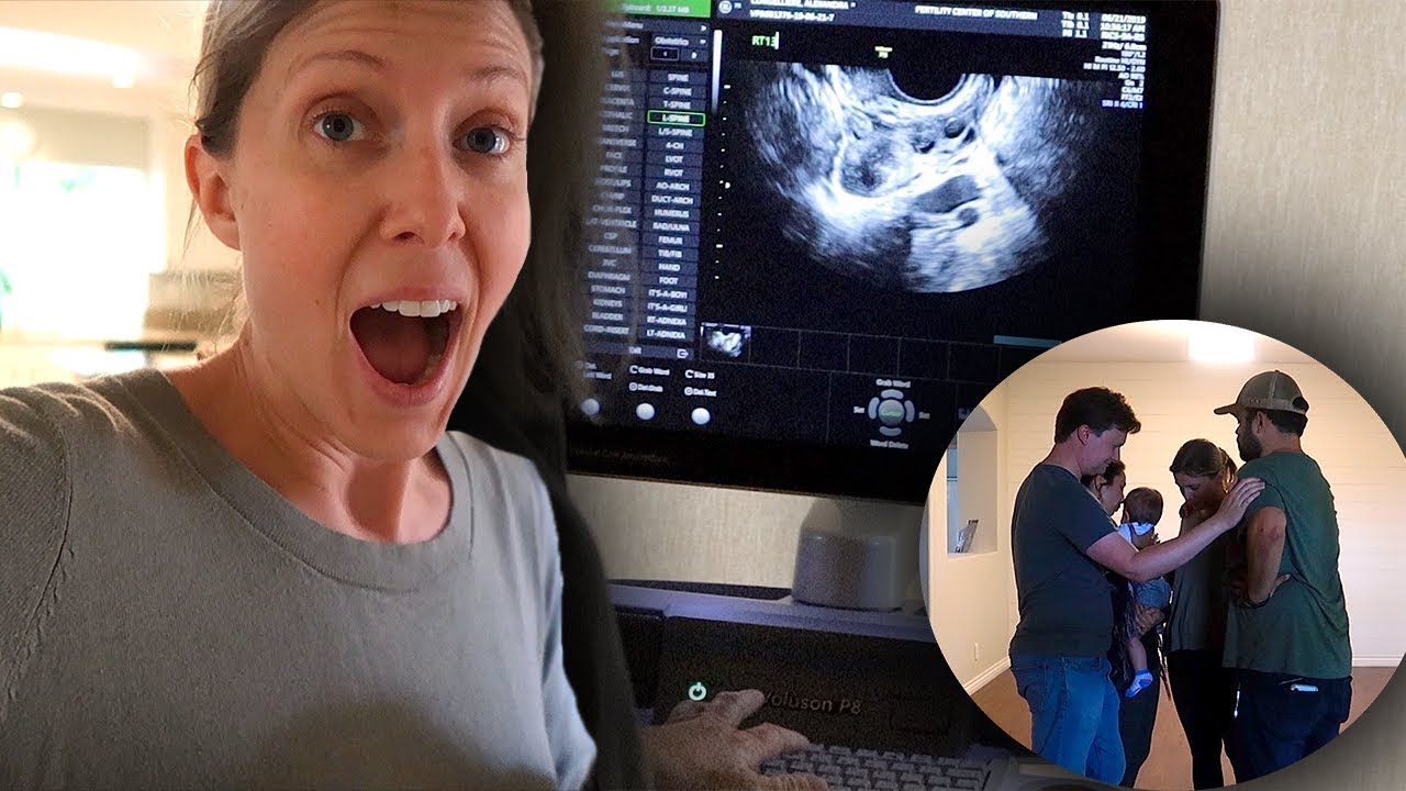 FINAL EGG COUNT + SAYING GOODBYE