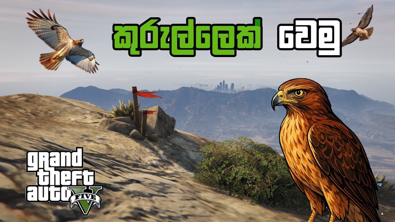 GTA V Game එකේ කුරුල්ලෙක් වෙමු. | Let's be a bird in the GTA V game | GTA 5 Gameplay | GamiNg SasY