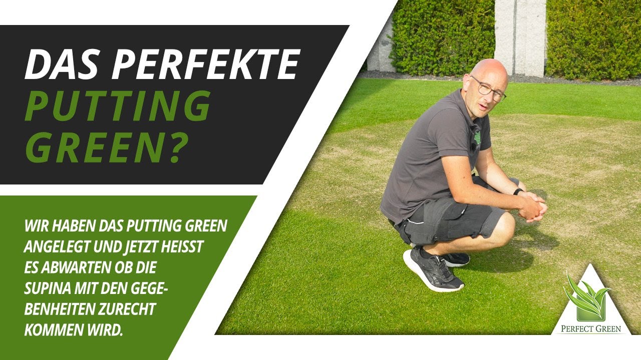 🌱 Wird es das Perfect Green? - Von der Idee zur Realität: Mein Putting Green entsteht 🌱