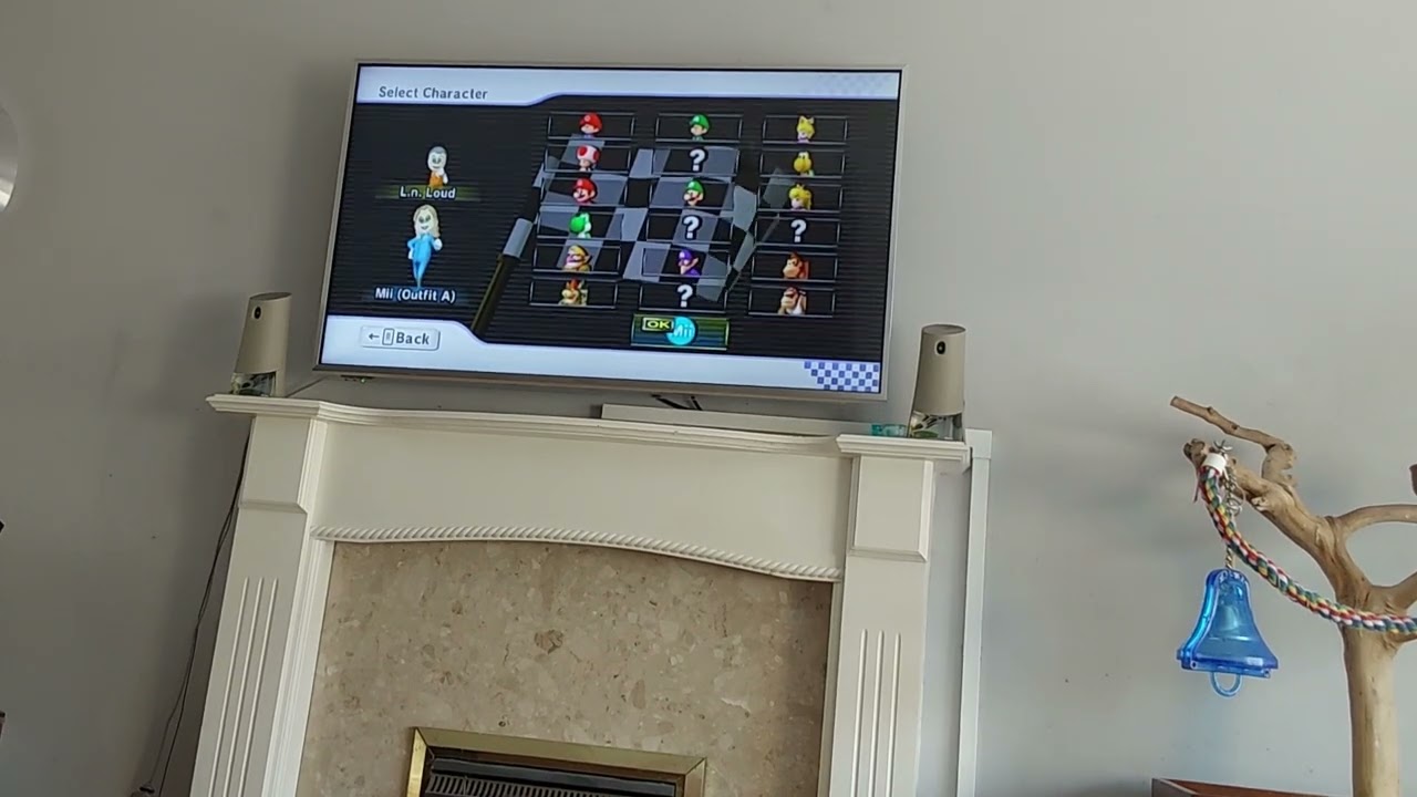 Mario Kart Wii - Mii Voices