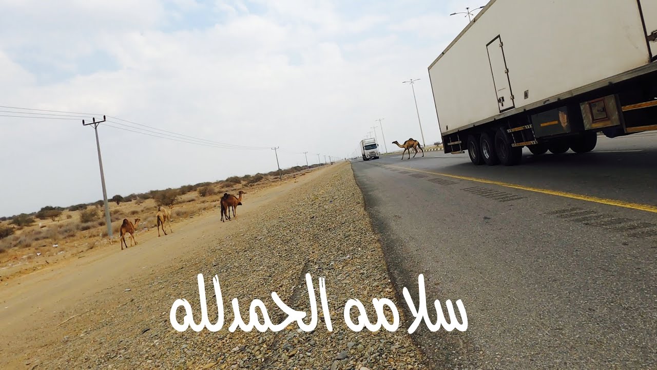 قابلت ولد عمي صدفه وتحديت بدون مايدري 😂