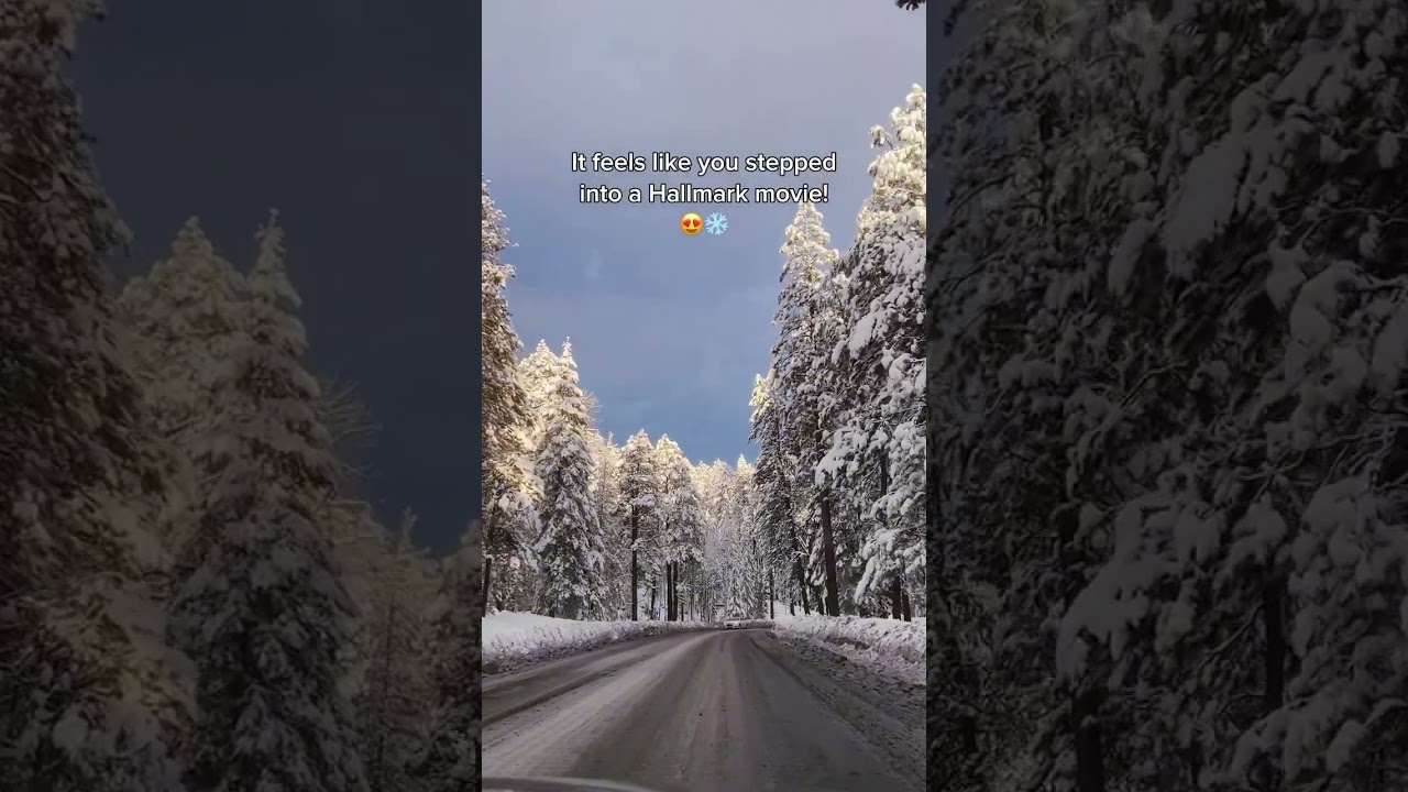 Would you believe this is Arizona? ❄️❤️