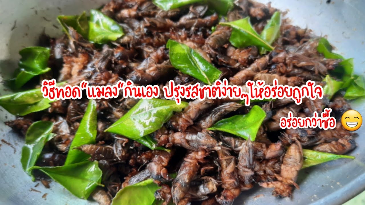 วิธีทอด