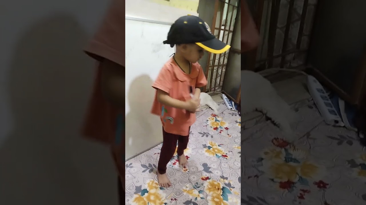 #ayzal #trending #viral #funny #cat#punna