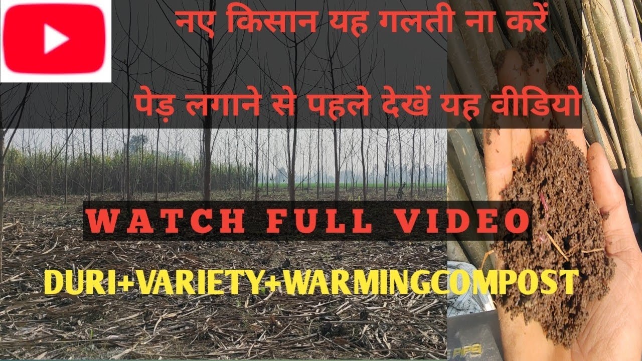 NAYE KISAN PED LAGANE SE PAHLE DEKH LE VIDEO 12*12 