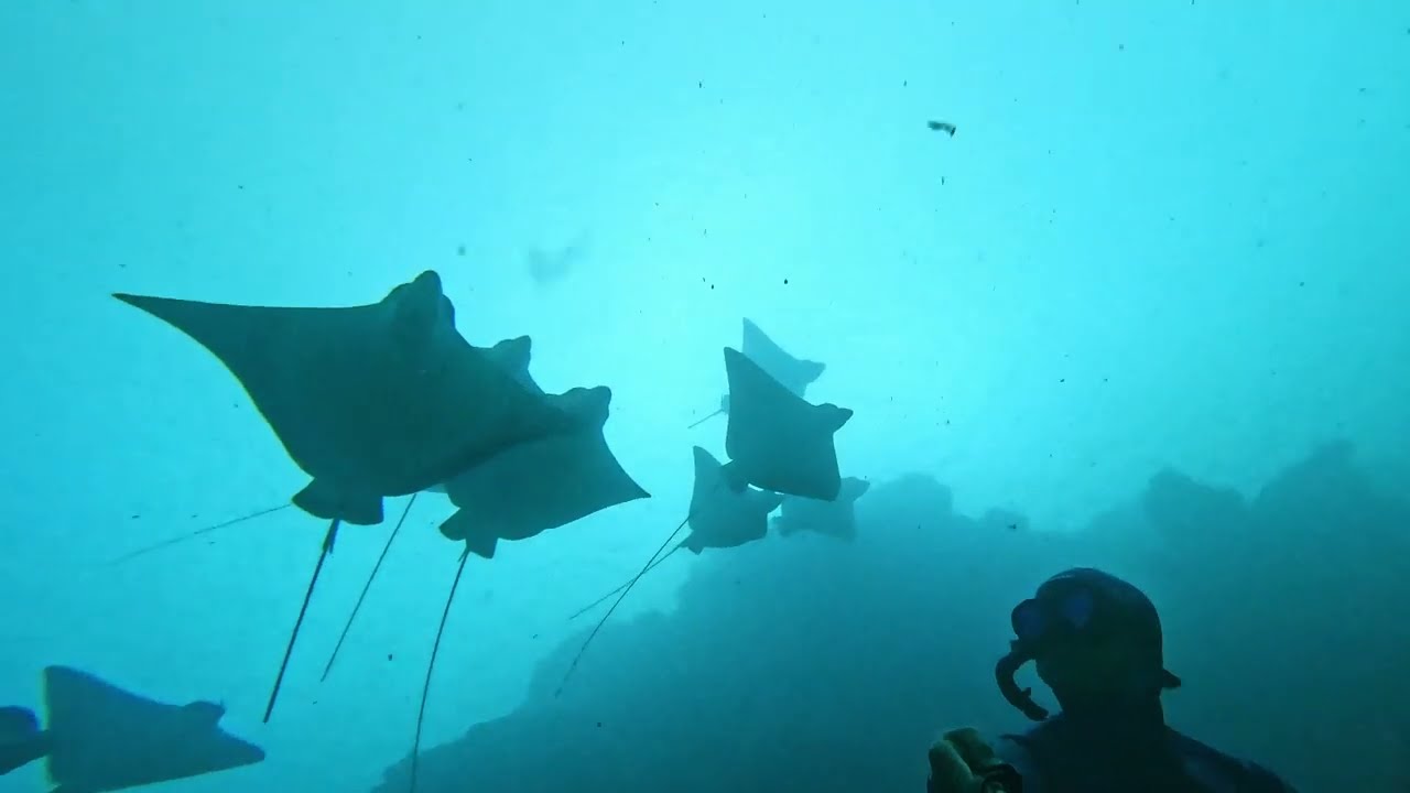 Ava'avaroa Passage Rarotonga - Ocean Protagonist