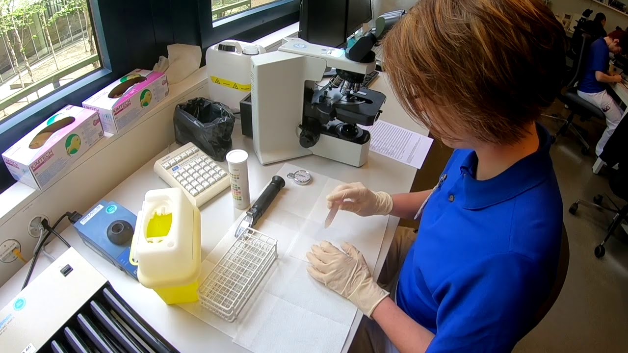 OdA GS Aargau - Dipl. Biomedizinische/-r Analytiker/-in HF