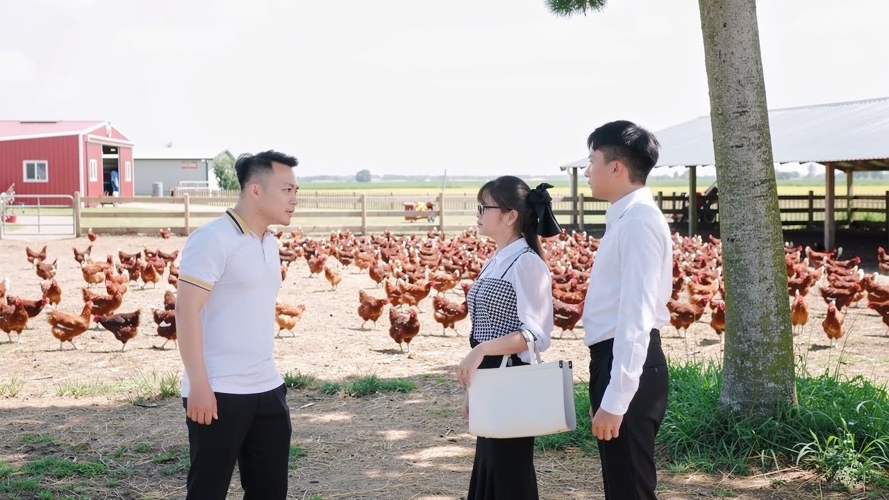 Em Trai Chủ Tịch Vỡ Nợ, Trốn Về Quê Mở Trang Trại Gà Sống Qua Ngày Và Cái Kết - Tập 1523