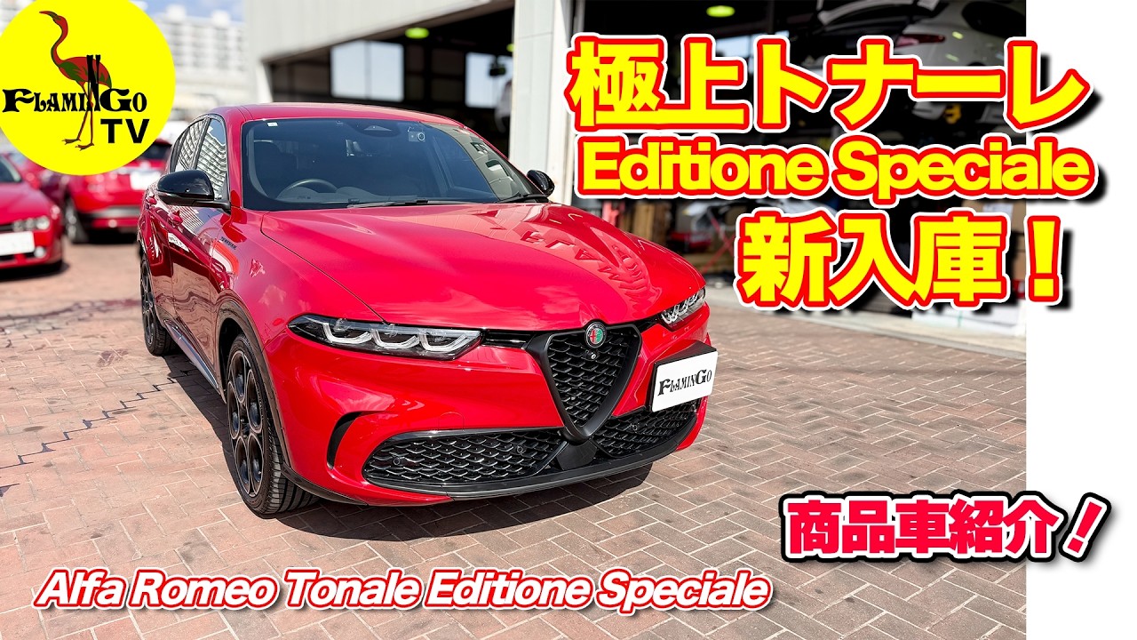 【希少】トナーレ Editione Speciale新入庫！