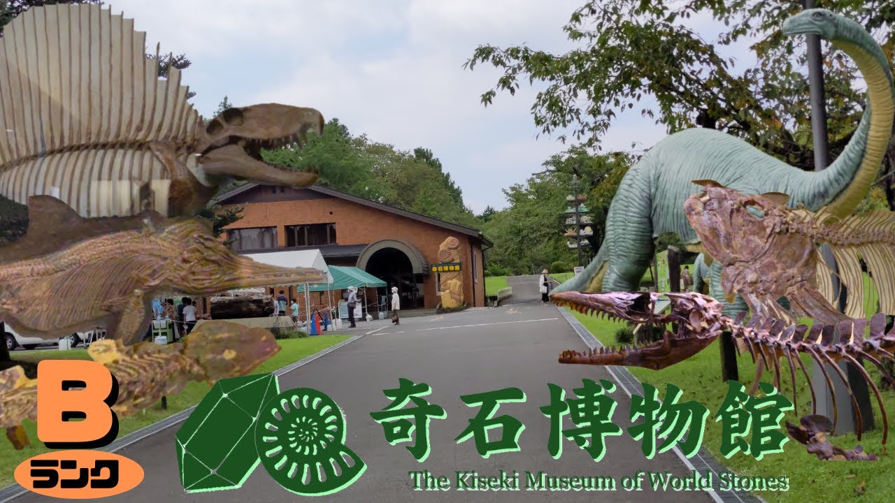 【古生物スポット】奇石博物館(The Kiseki Museum of World Stones)