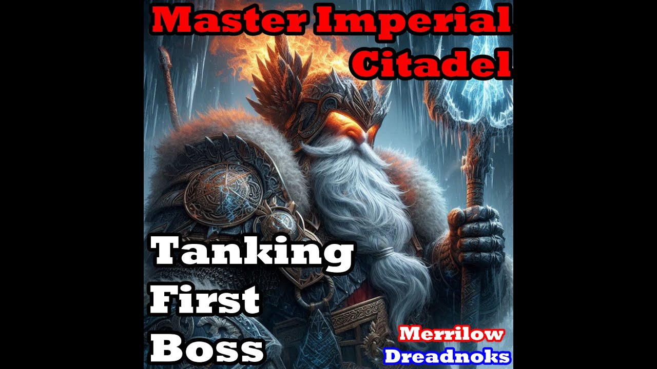 Neverwinter Mod 28 Imperial Citadel First Boss Tank PoV