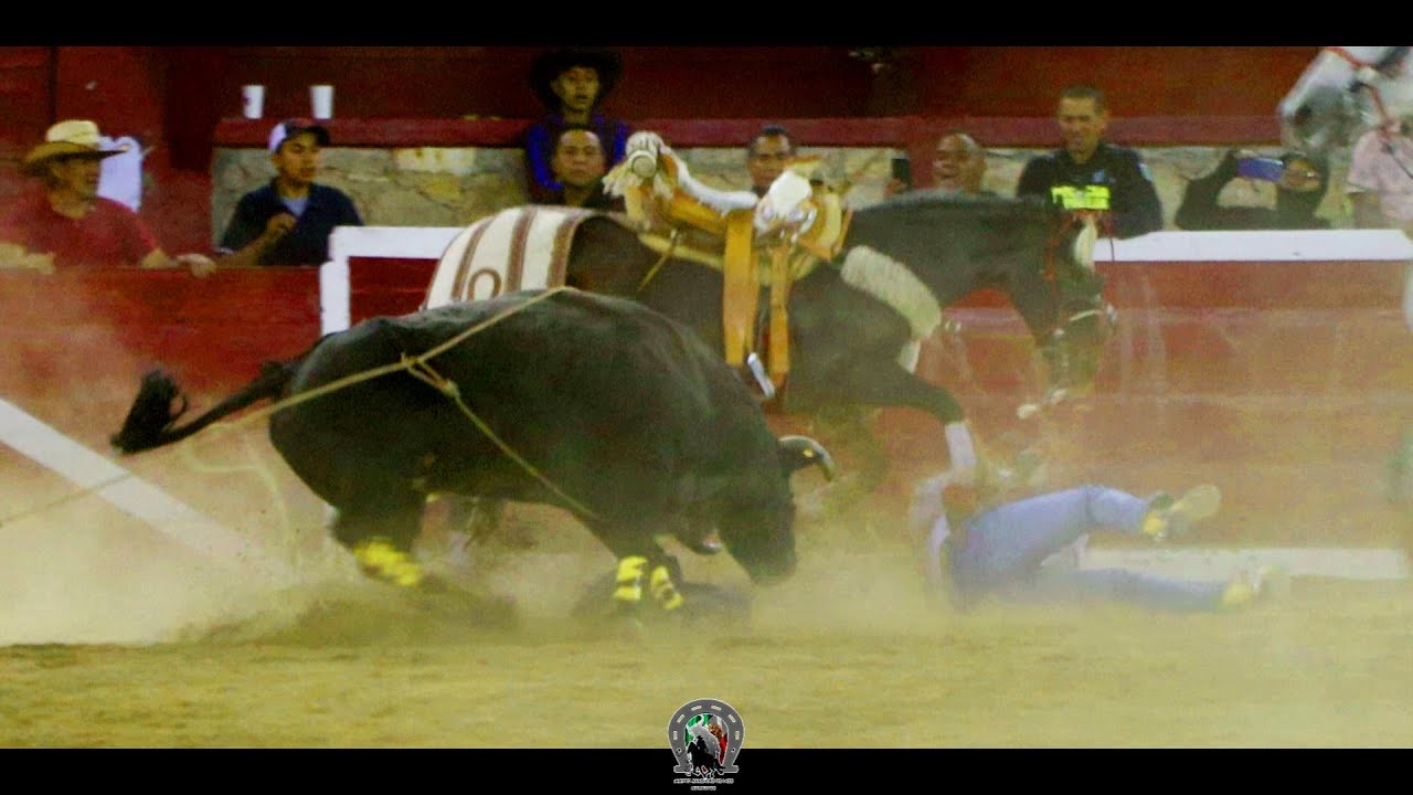 Alcanzado Jaripeo Ranchero de lazo En La Plaza Monumental de Morelia