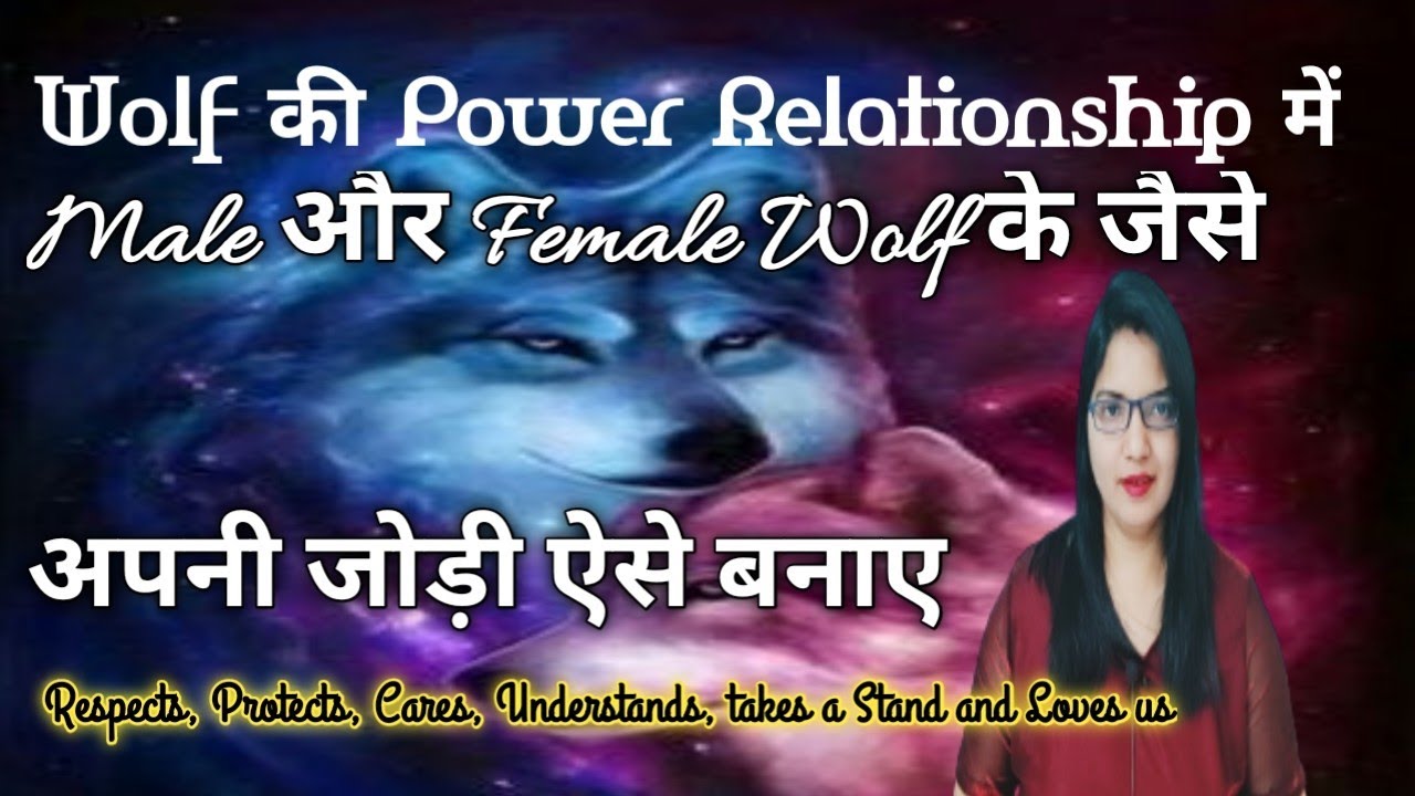 Specific Person को Wolf की Power और Quality दें ❤️Male Wolf and Female Wolf जैसे आपकी जोड़ी हो